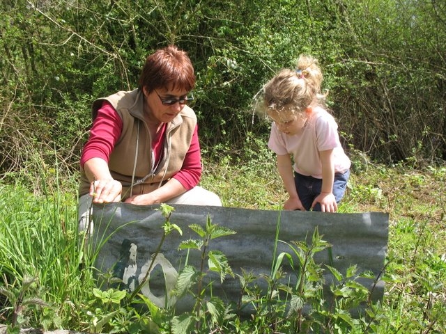 2008 04  Bota et Myco 21